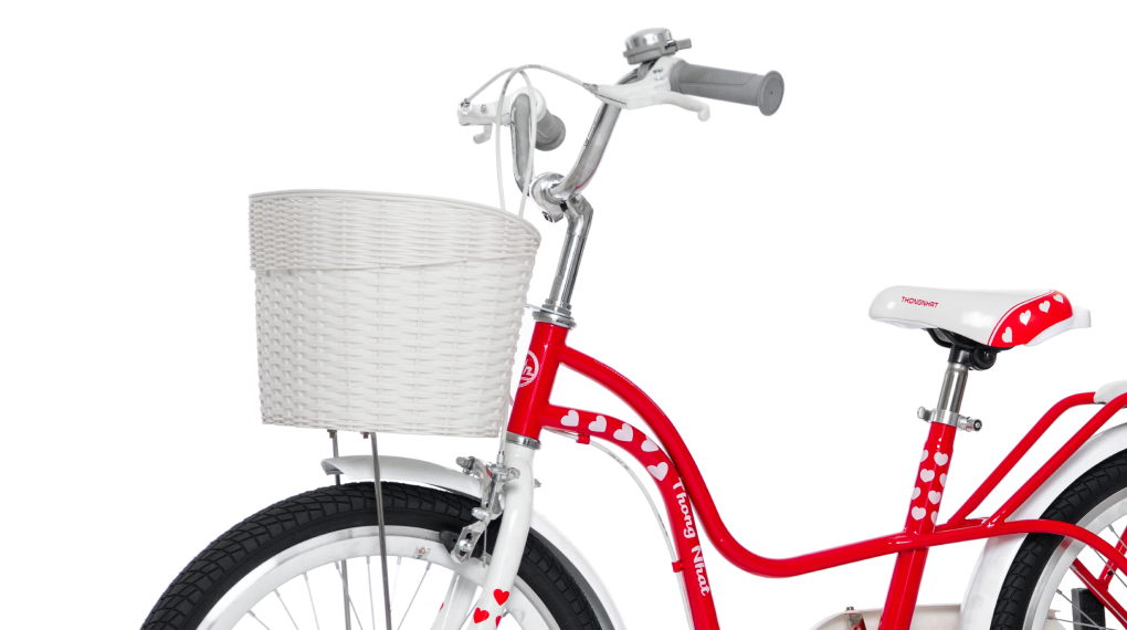 Xe Đạp Trẻ Em Nữ Thống Nhất Neo 20-04 20 inch có chuông kèm theo tiện lợi