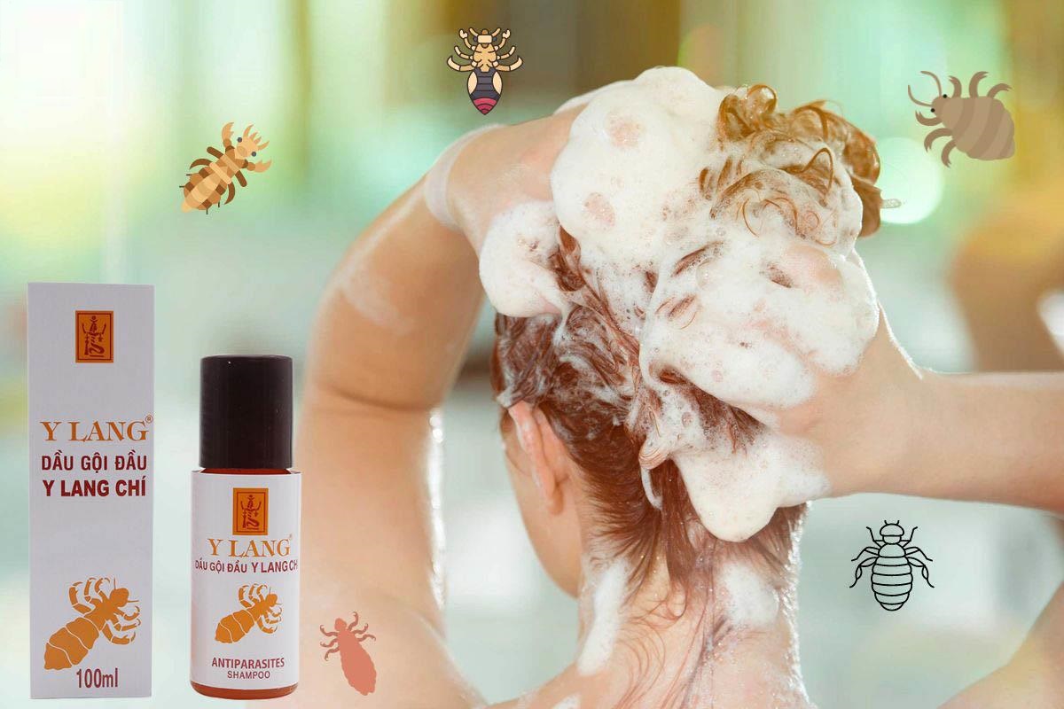Dầu gội đầu Y Lang Chí làm sạch các ký sinh trùng ngoài da (100ml)