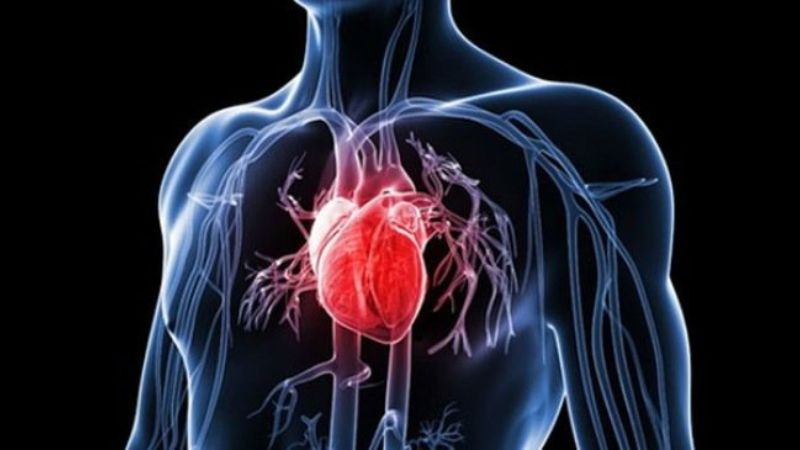 Chế độ ăn giàu protein có thể tăng nguy cơ xuất hiện bệnh tim mạch