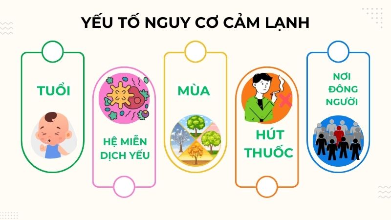 Một số yếu tố nguy cơ có thể dẫn tới cảm lạnh Một số yếu tố nguy cơ có thể dẫn tới cảm lạnh