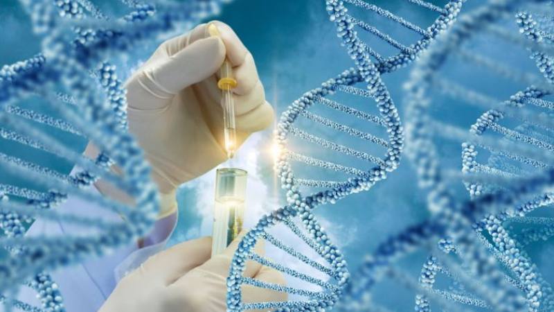 Xét nghiệm di truyền giúp đánh giá bộ gen của cơ thể và chẩn đoán nguy cơ mắc bệnh đái tháo nhạt Xét nghiệm di truyền giúp đánh giá bộ gen của cơ thể và chẩn đoán nguy cơ mắc bệnh đái tháo nhạt