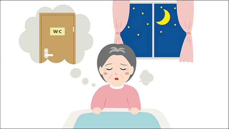 Người mắc đái tháo nhạt thường xuyên phải đi tiểu, kể cả vào ban đêm Người mắc đái tháo nhạt thường xuyên phải đi tiểu, kể cả vào ban đêm