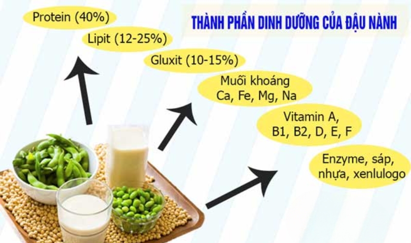 Các thành phần dinh dưỡng có trong đậu nành