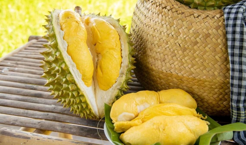 Thời điểm tốt nhất để ăn sầu siêng là sau sinh 6 tháng Thời điểm tốt nhất để ăn sầu siêng là sau sinh 6 tháng