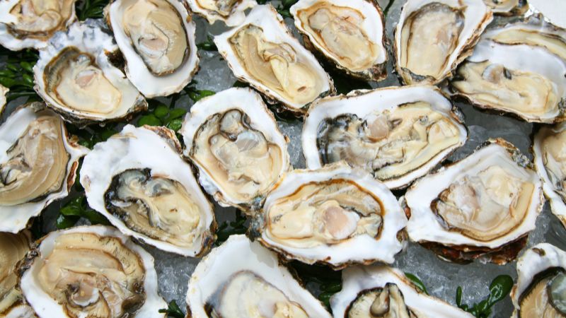 Hàu cung cấp hàm lượng kẽm cao cho mắt Hàu cung cấp hàm lượng kẽm cao cho mắt