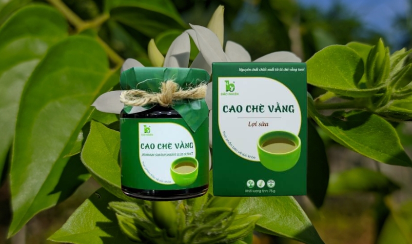 Cao chè vằng Bảo Nhiên lợi sữa cho mẹ sau sinh