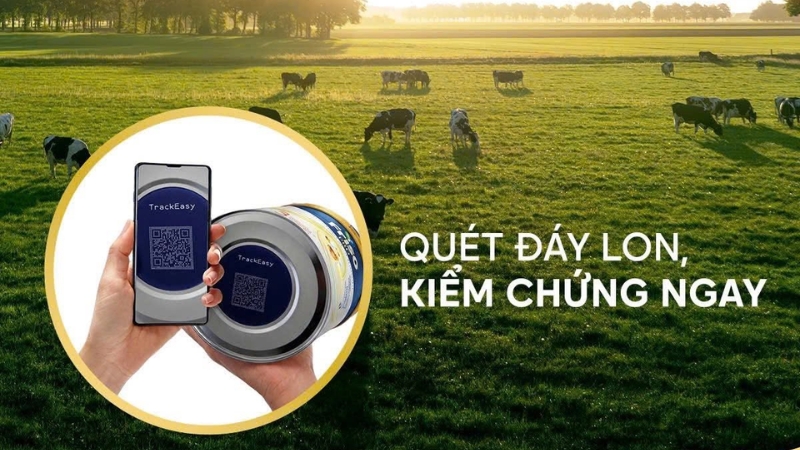 Công nghệ Track Easy truy xuất nguồn gốc sữa Friso nhanh chóng Công nghệ Track Easy truy xuất nguồn gốc sữa Friso nhanh chóng