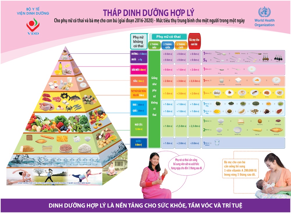 Tháp dinh dưỡng hợp lý cho phụ nữ có thai và bà mẹ cho con bú