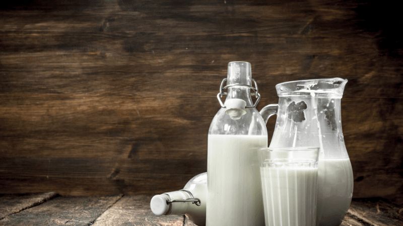 Sữa non bò có chứa globulin miễn dịch có thể điều trị bệnh giảm tiểu cầu tự miễn