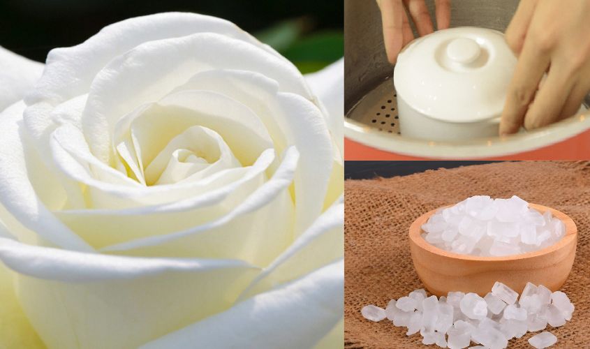 Giảm ho cho bé bằng hoa hồng trắng