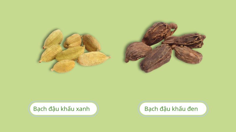 Có 2 loại thường gặp: Bạch đậu khấu xanh, bạch đậu khấu đen