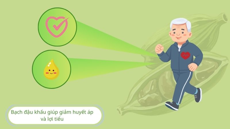 Bạch đậu khấu giúp giảm huyết áp, lợi tiểu 