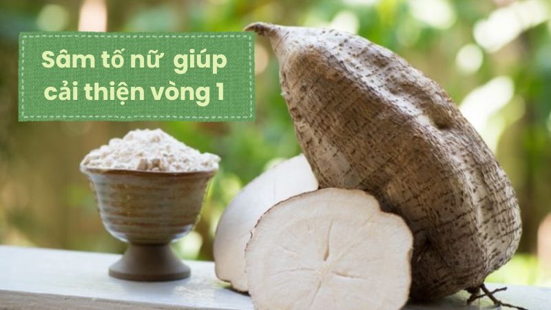 Sâm tố nữ giúp tăng kích thước vòng 1