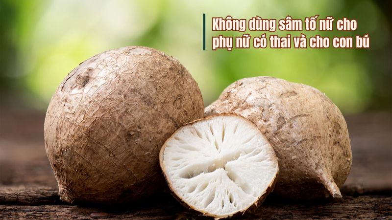 Không sử dụng sâm tố nữ cho phụ nữ có thai và cho con bú