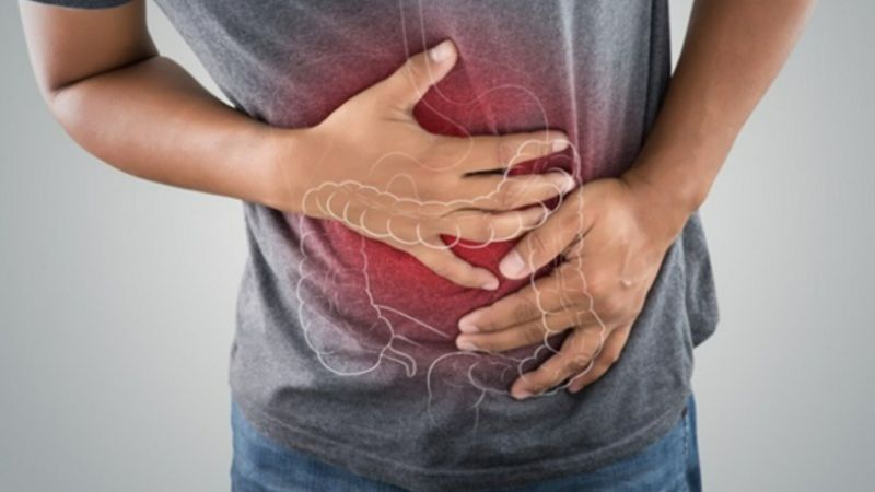 Mogrosides trong quả la hán có thể hoạt động như prebiotic giúp nuôi dưỡng vi khuẩn có lợi trong đường ruột