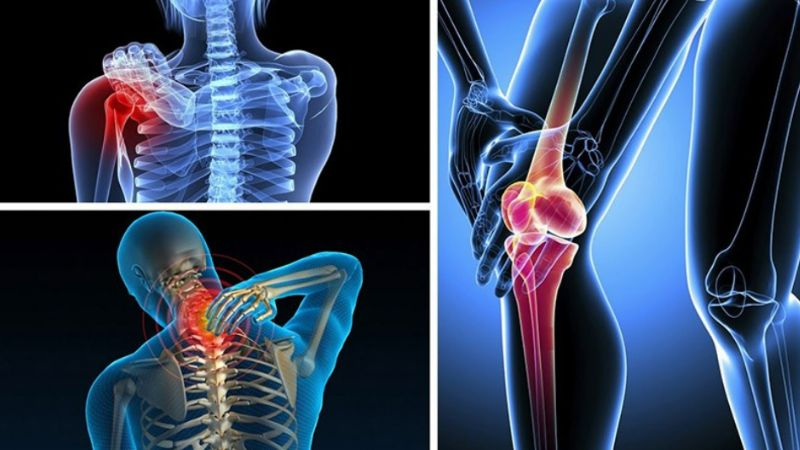 Mogrosides trong quả la hán có đặc tính chống viêm mạnh giúp bảo vệ tế bào khỏi tổn thương do gốc tự do, giảm viêm mãn tính