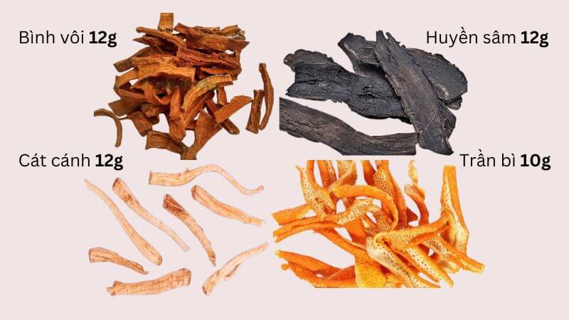 Bài thuốc trị viêm nhiễm đường hô hấp, viêm họng, viêm khí quản mạn tính
