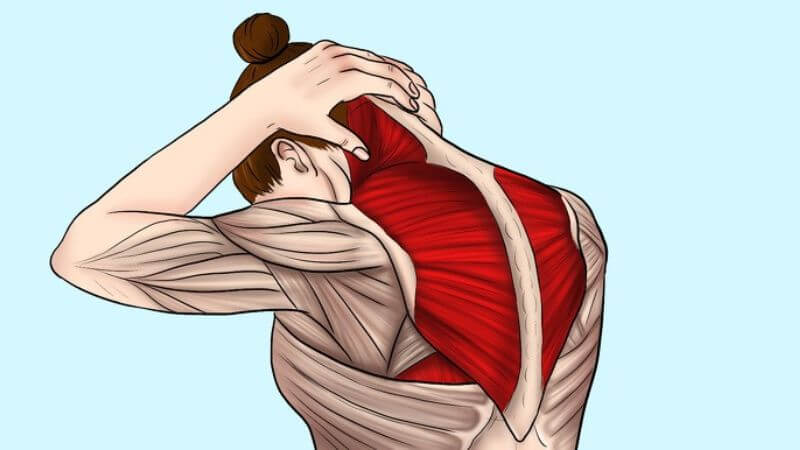 Bình vôi có khả năng giảm đau mỏi cơ hiệu quả