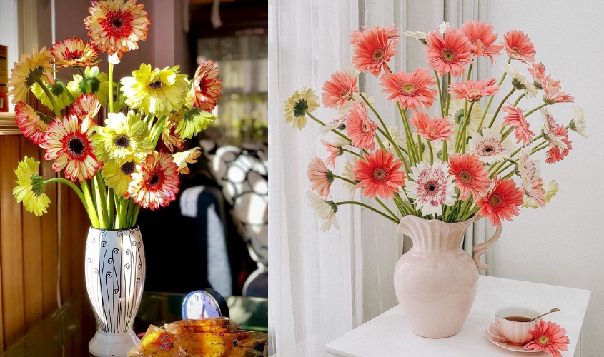 Mẫu cắm hoa đồng tiền bình cao