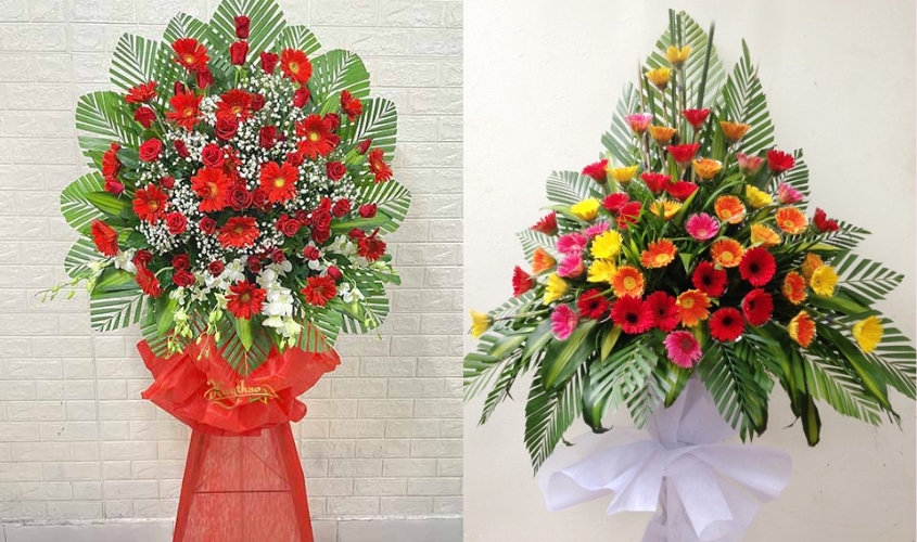 Lẵng hoa đồng tiền khai trương