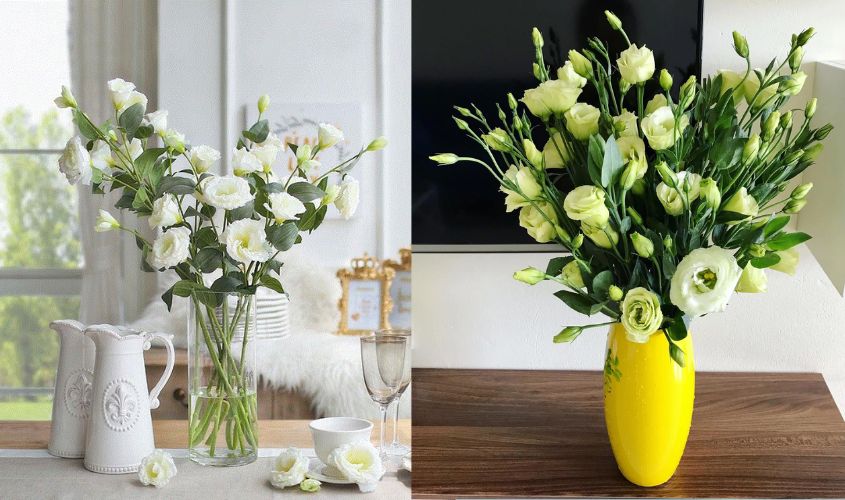 Cắm hoa cát tường cùng bình cổ cao