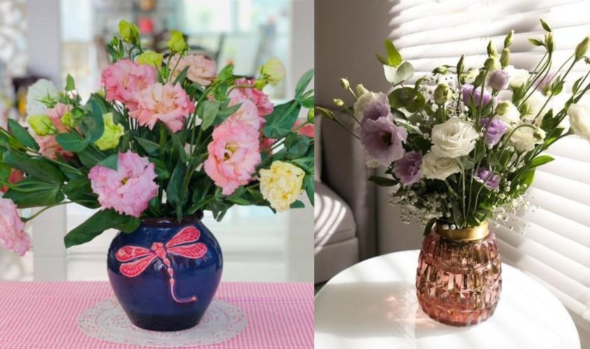 Cắm hoa cát tường khéo léo với bình tròn thấp