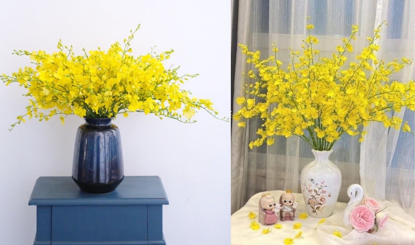 Bình hoa lan vũ nữ sang trọng