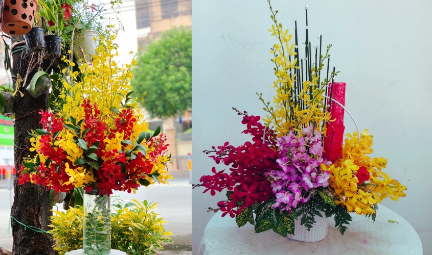 Hoa lan mokara mix màu vàng và đỏ