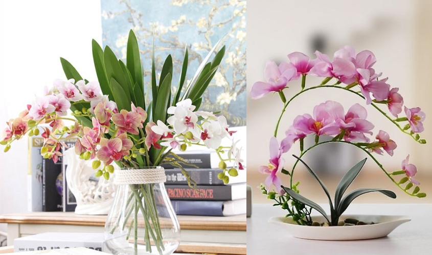 Mẫu cắm hoa lan độc đáo, sang trọng