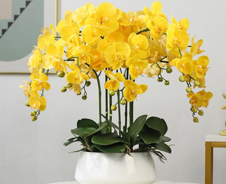 Cắm hoa lan hồ điệp 1 tầng