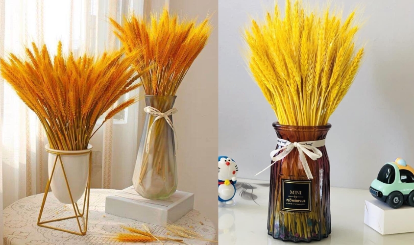 Hoa lúa mạch cắm bình cao sang trọng