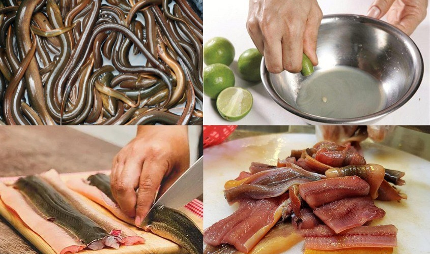 Cách sơ chế lươn sạch sẽ Cách sơ chế lươn sạch sẽ