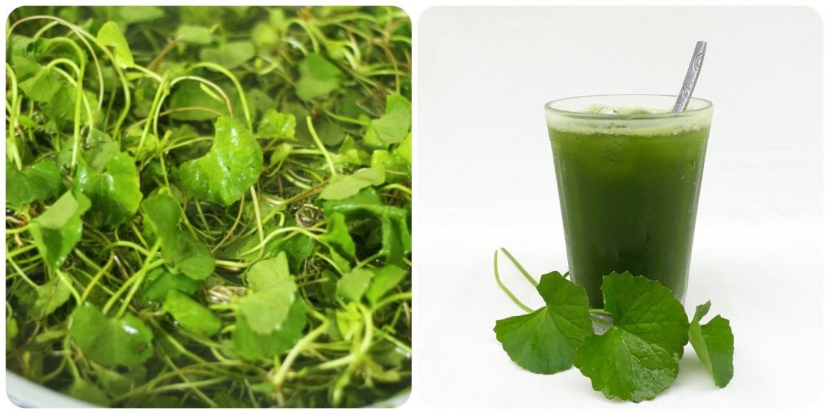 Bà bầu được uống rau má