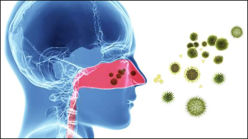 Cảm lạnh kéo dài thì sau một thời gian có thể sẽ biến chứng thành viêm xoang Cảm lạnh kéo dài thì sau một thời gian có thể sẽ biến chứng thành viêm xoang