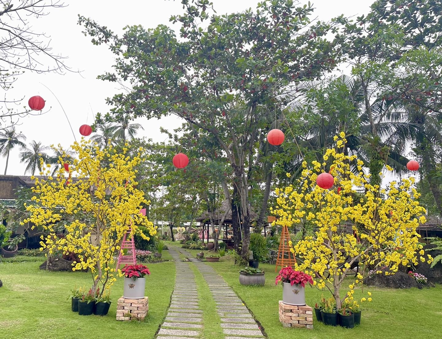 Khu du lịch Bình Quới