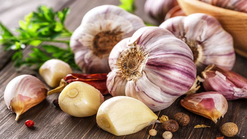 Tỏi là bài thuốc điều trị bệnh từ xa xưa
