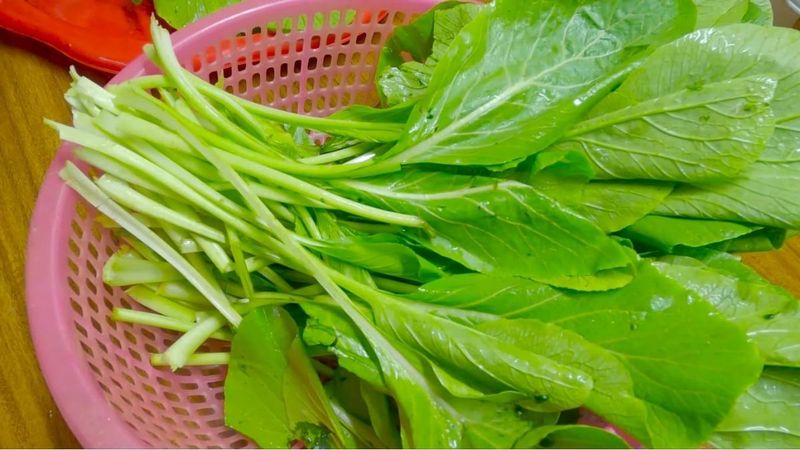Chế độ ăn nhiều rau giúp cơ thể bạn luôn khỏe mạnh