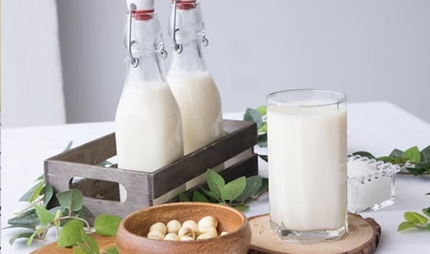 Hình minh họa sữa hạt sen yến mạch