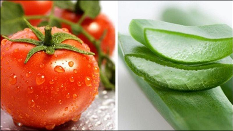 Hỗn hợp nha đam và cà chua giúp giảm sẹo mụn, làm da sạch và săn chắc