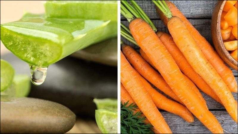Mặt nạ nha đam - cà rốt làm giảm cháy nắng và nhân đôi tác dụng chống lão hóa