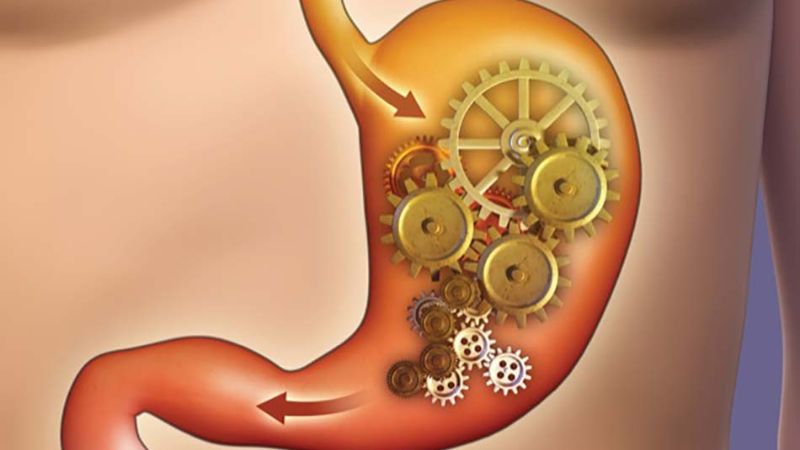 Mộc hương có tác dụng tích cực trong việc tăng tốc độ làm rỗng dạ dày