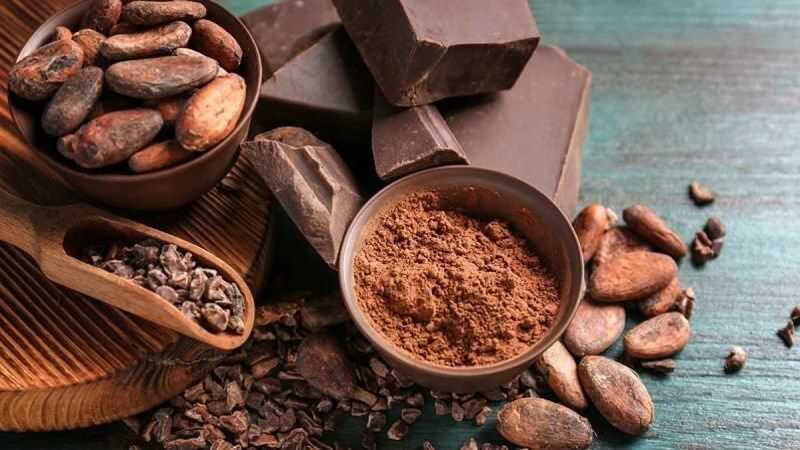 Bột ca cao giúp tẩy tế bào chết môi hiệu quả