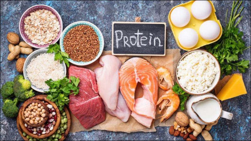 Thực phẩm giàu protein
