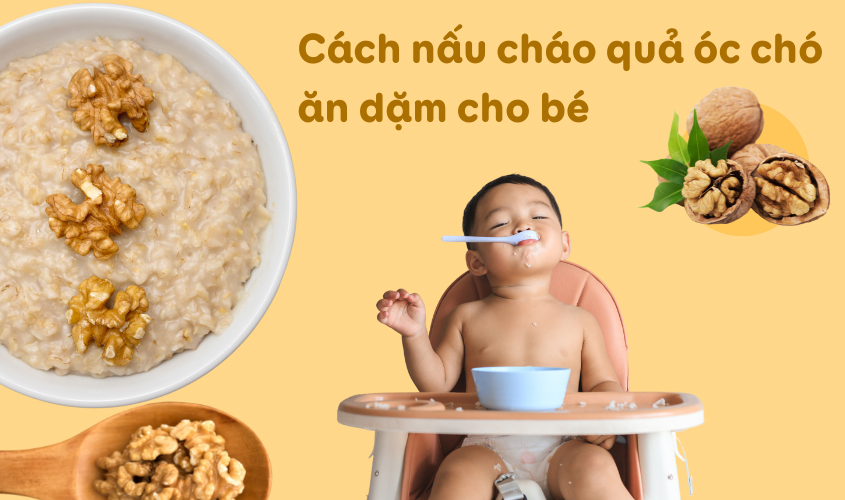 Hướng dẫn mẹ cách nấu cháo quả óc chó cho bé Hướng dẫn mẹ cách nấu cháo quả óc chó cho bé