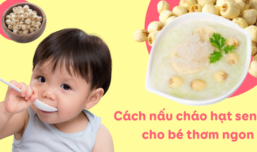 Hướng dẫn mẹ cách nấu cháo hạt sen cho bé thơm ngon Hướng dẫn mẹ cách nấu cháo hạt sen cho bé thơm ngon