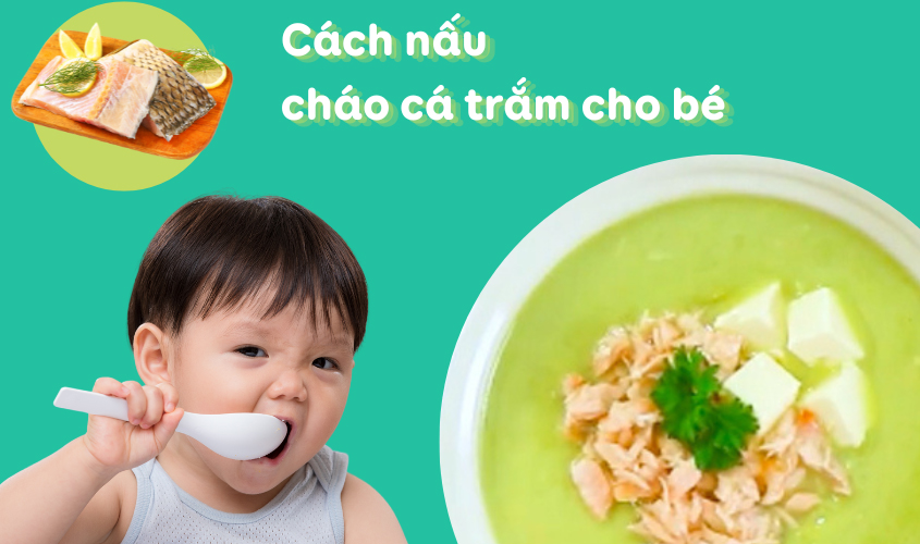 Gợi ý cách nấu cháo cá trắm cho bé tại nhà Gợi ý cách nấu cháo cá trắm cho bé tại nhà