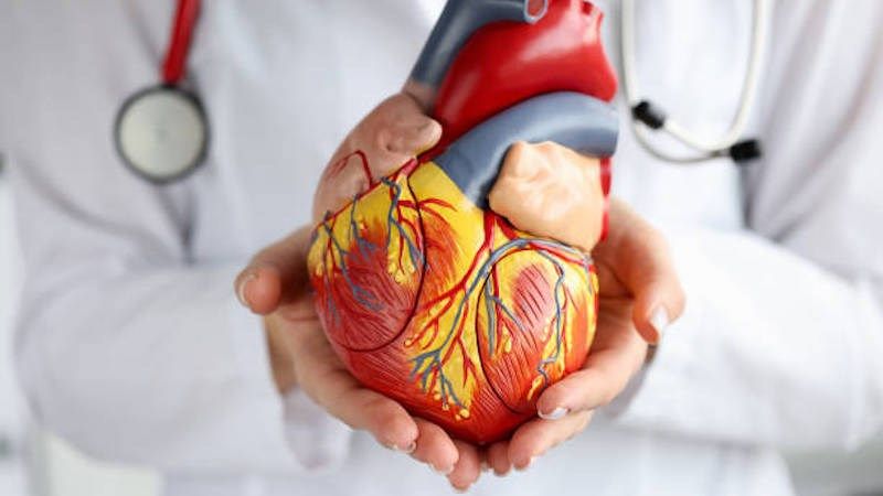 Cơm tốt cho sức khoẻ tim mạch