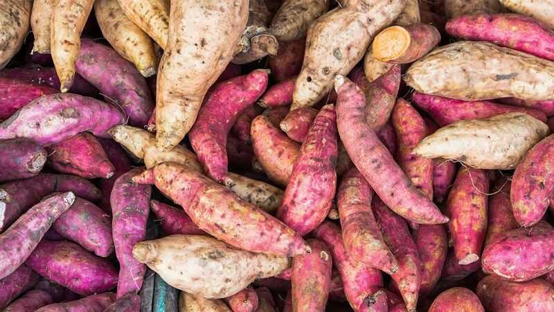 C&aacute;c th&agrave;nh phần dinh dưỡng của khoai lang