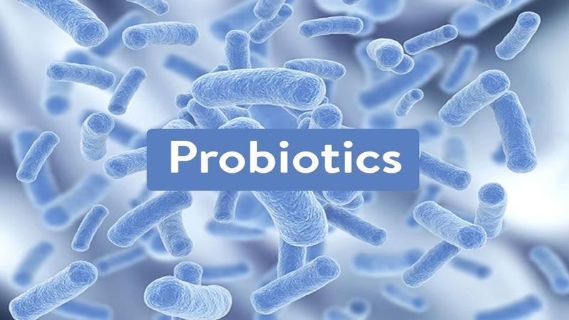 Probiotic có thể giúp bạn giảm cân và mỡ nội tạng