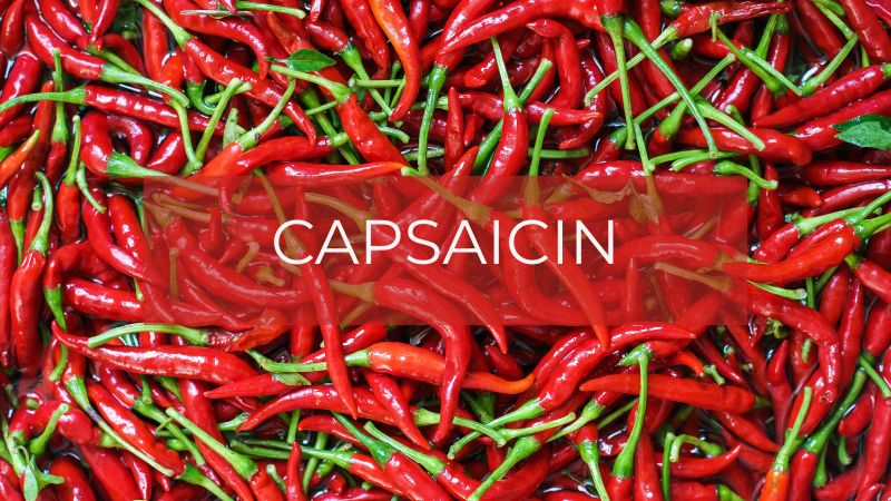Capsaicin là hoạt chất tạo nên vị cay đặt trưng của ớt Capsaicin là hoạt chất tạo nên vị cay đặt trưng của ớt